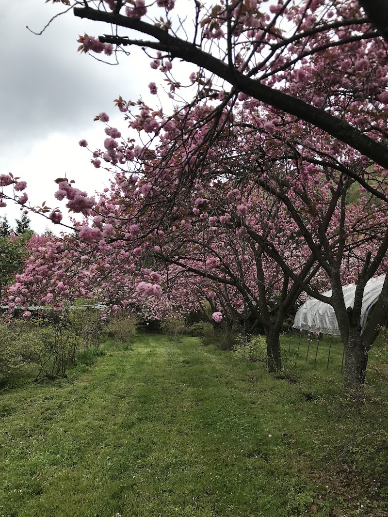 白河の関ペット公園墓地の写真