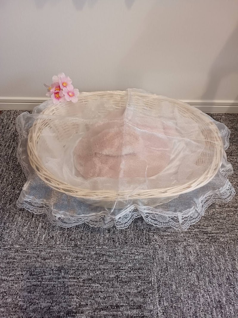 ペットのお葬式ＣｏＣｏの写真
