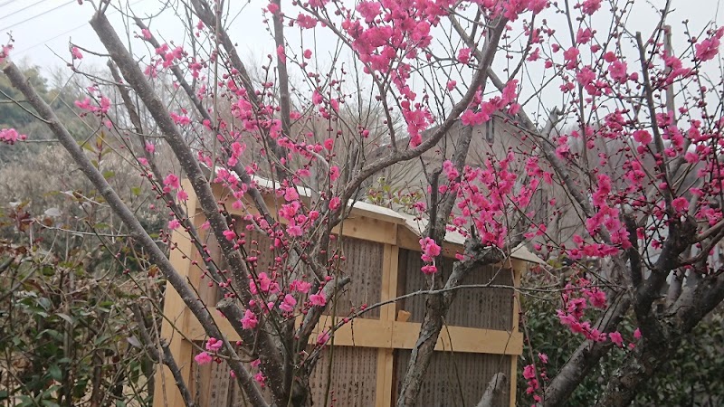 八王子下柚木ペット霊園の写真