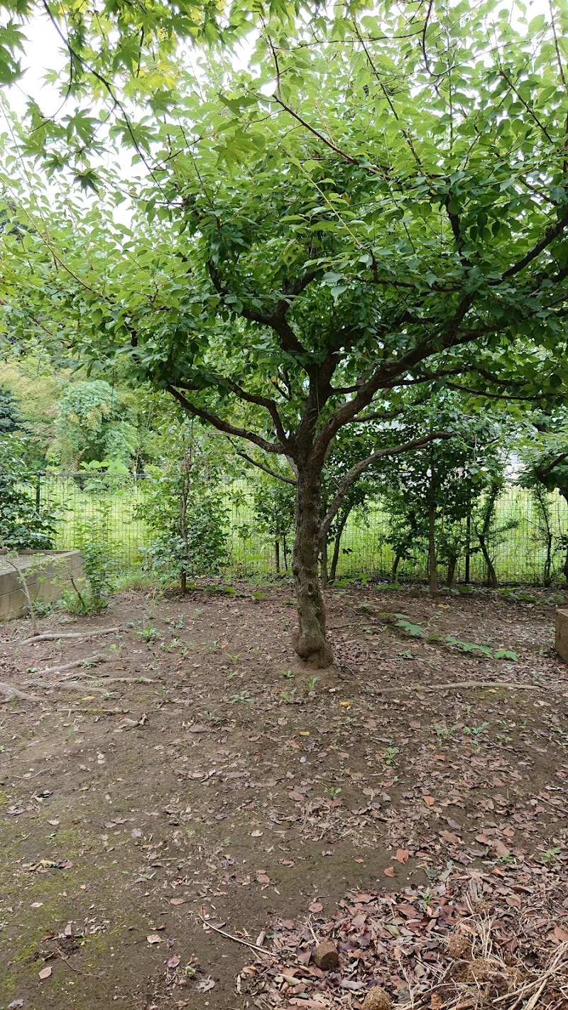 松戸ペット霊園の写真