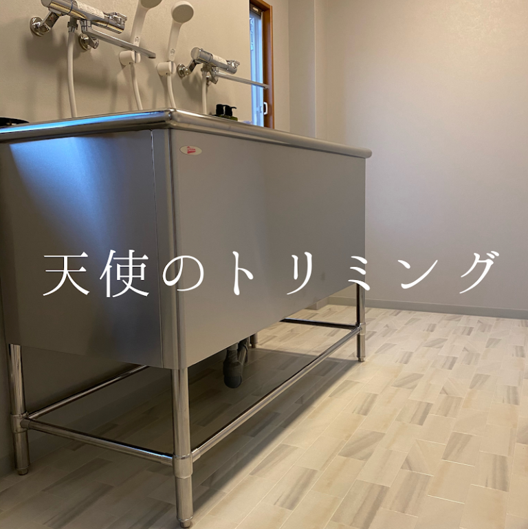 ペットセレモニーしんせの写真