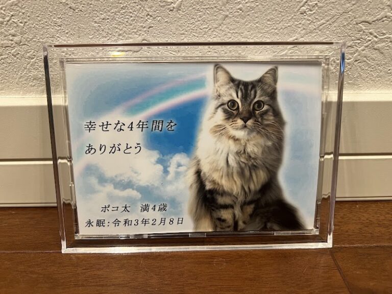 いせはら ペットセレモニーの写真
