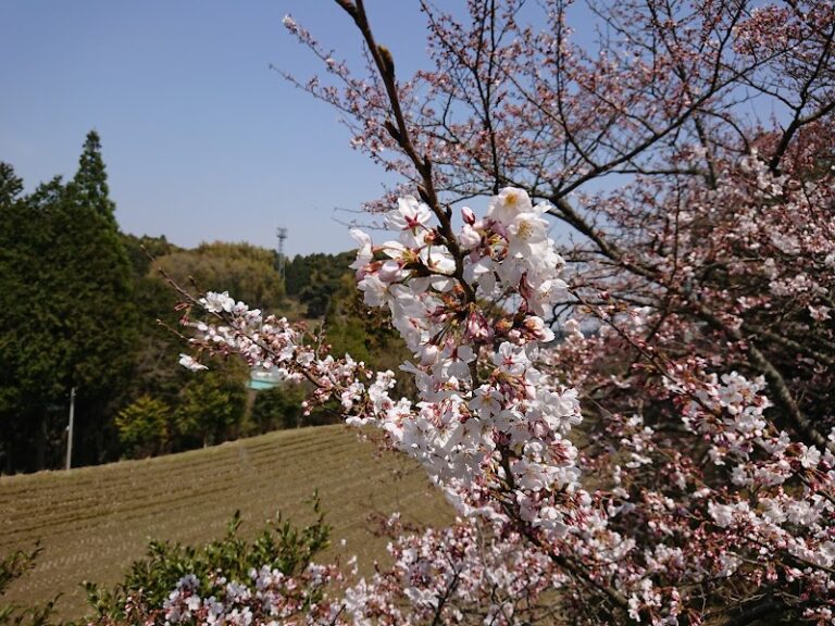 ペット霊園 ばんれいパークの写真