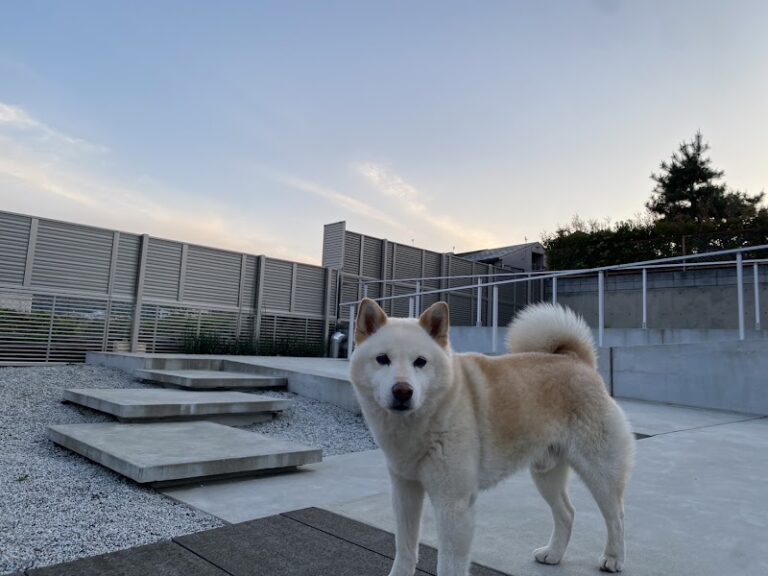 ふくおう寺ペット霊園の写真
