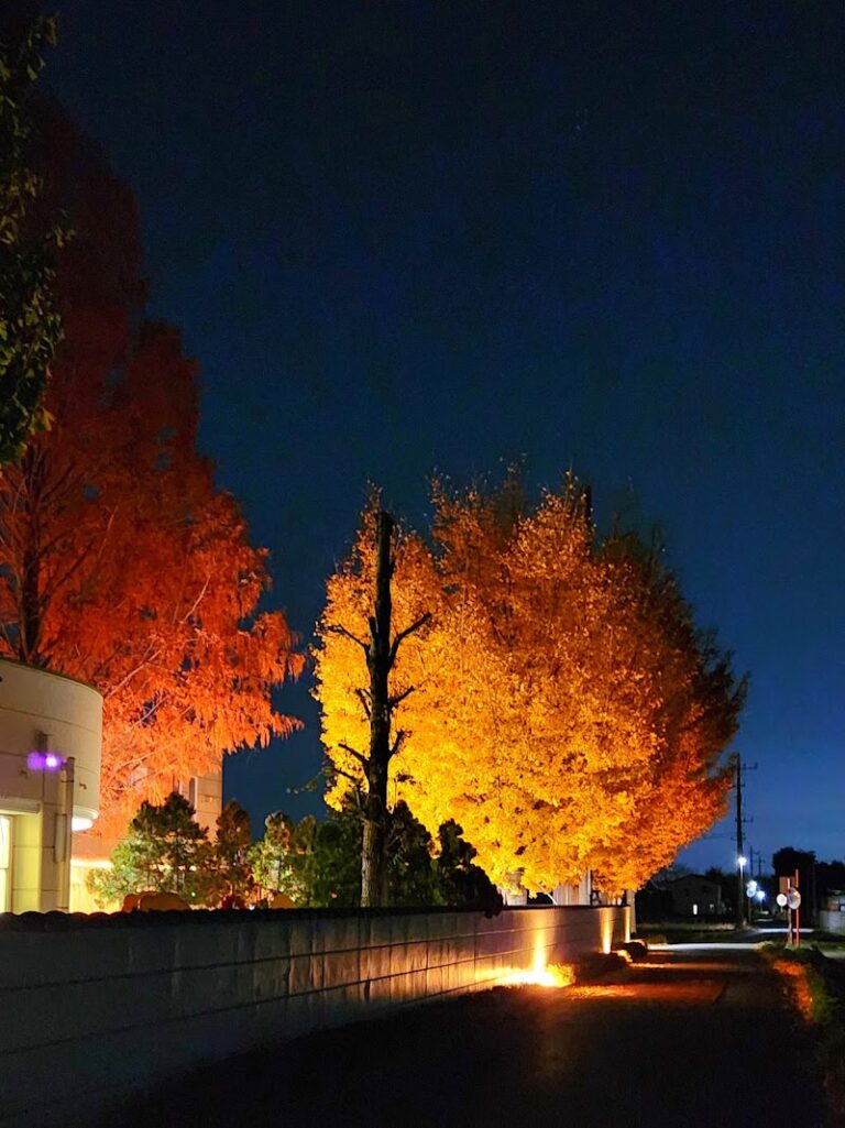慈眼山 瑞岩寺の写真