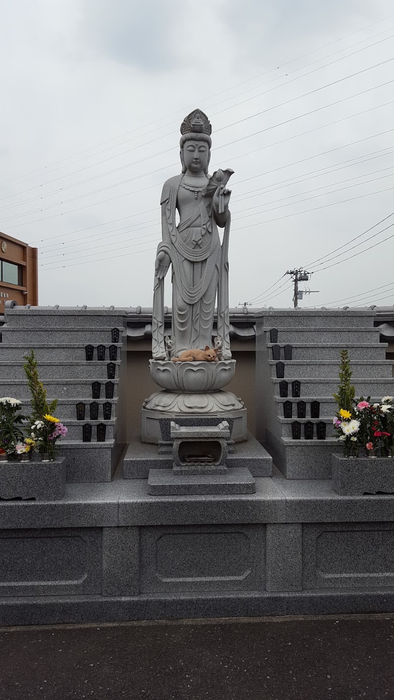 アイリスペットエンジェルの写真