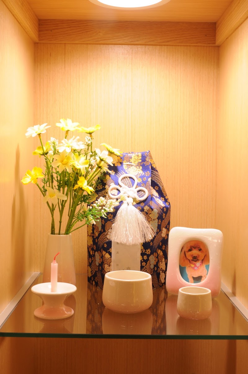 円通寺の写真