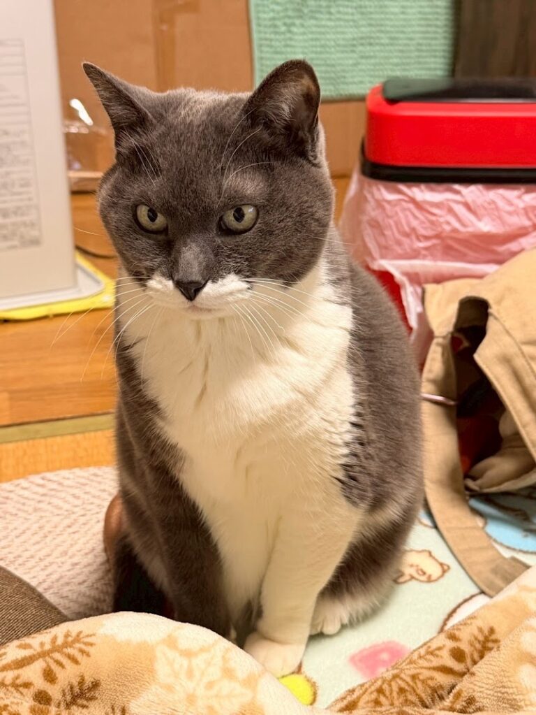 ペット火葬ハピネス石川の写真