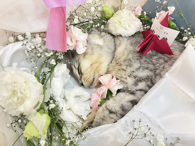 一宮どうぶつ霊園の写真