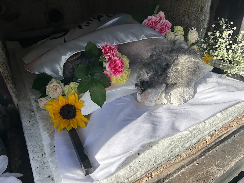 訪問ペット火葬 想花の写真