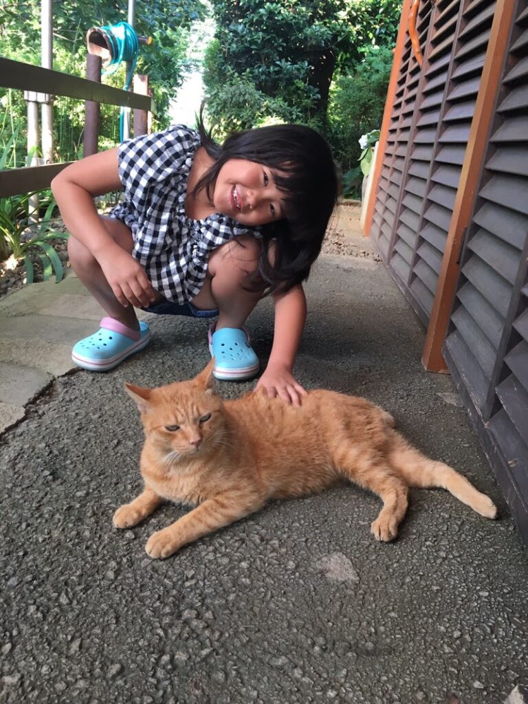 田園都市ペットメモリアル町田の写真