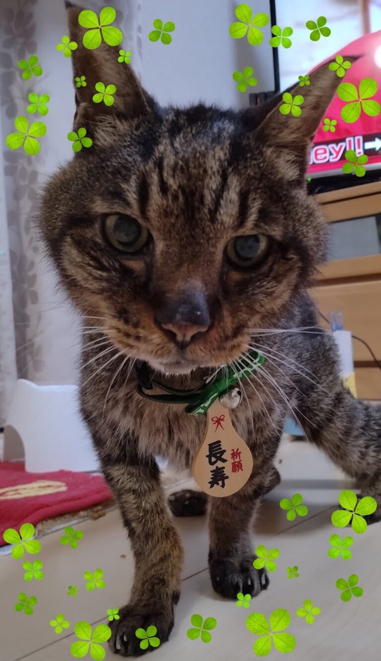 ペット火葬ハピネス熊本の写真