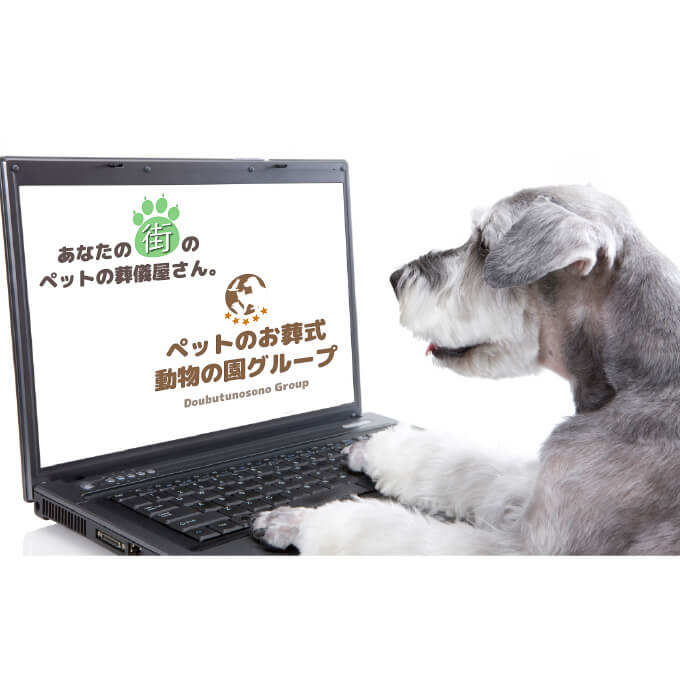動物の園グループ 東京中央西の写真