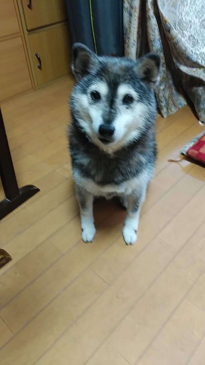 たんぽぽ墓苑 津田沼分院の写真