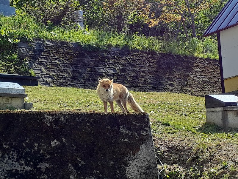 愛＆愛 ペット霊園 古潭の写真