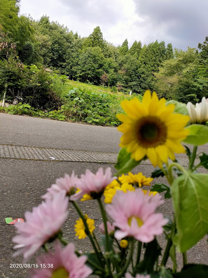 東山動物霊園パラダイスの写真