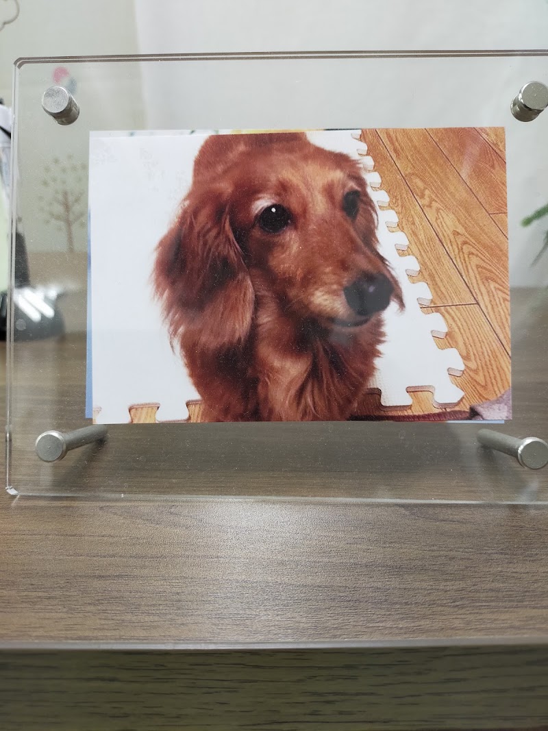 ペットの葬儀屋さん『大阪犬友社』の写真
