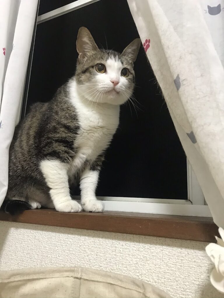ペット火葬ハピネス福岡の写真