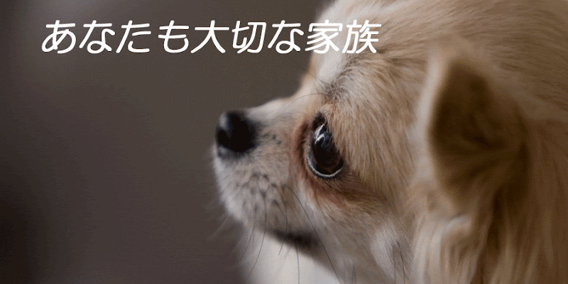 ペット葬儀本舗 京都店の写真