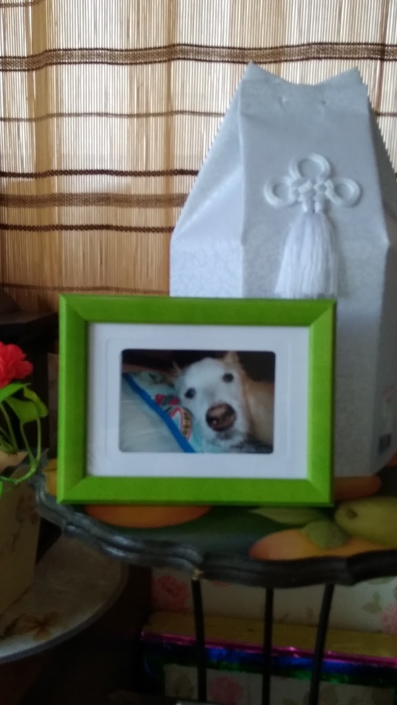 うつのみや動物霊苑の写真