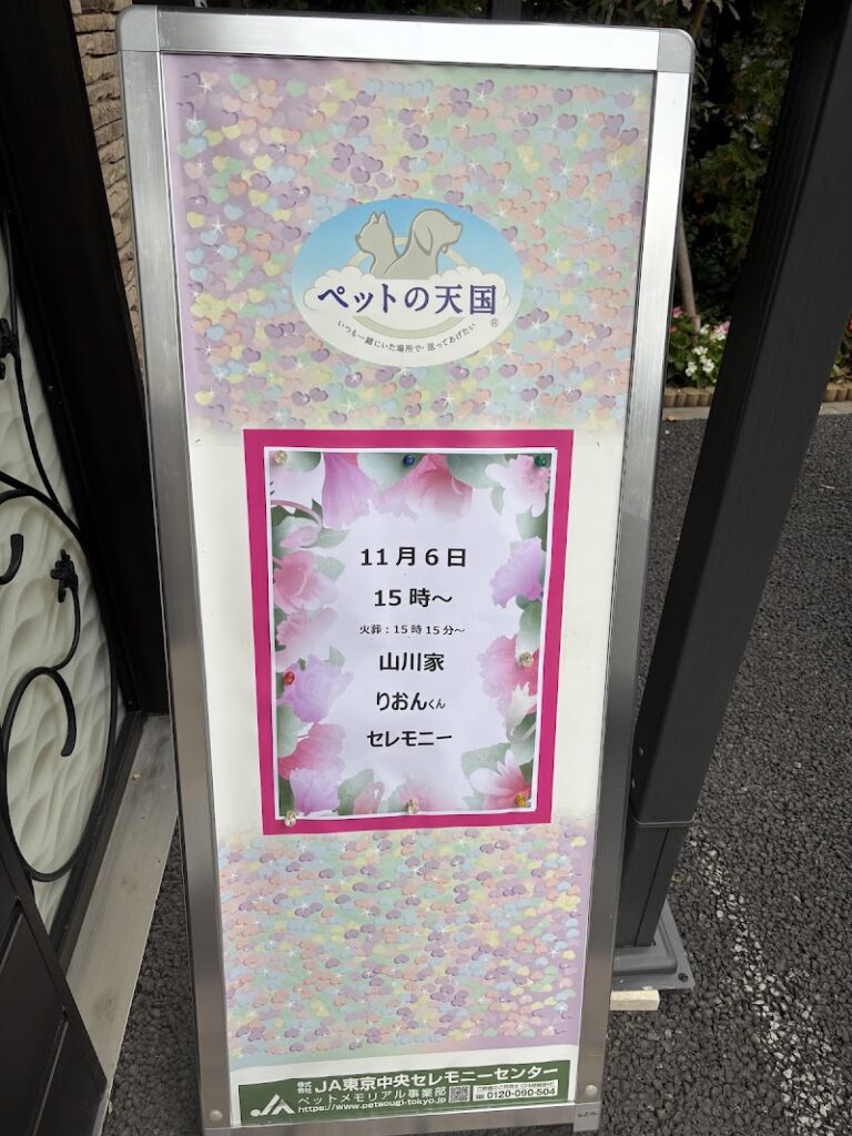 ペットの天国の写真