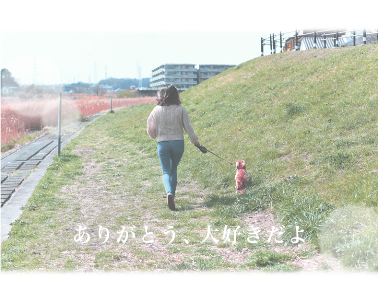 旭川ペット社の写真