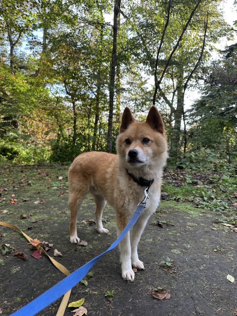 ペット火葬ハピネス名古屋の写真