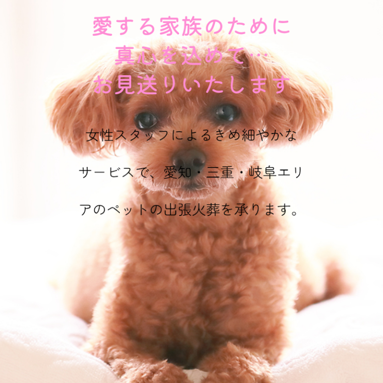 訪問ペット火葬 シンシアの写真