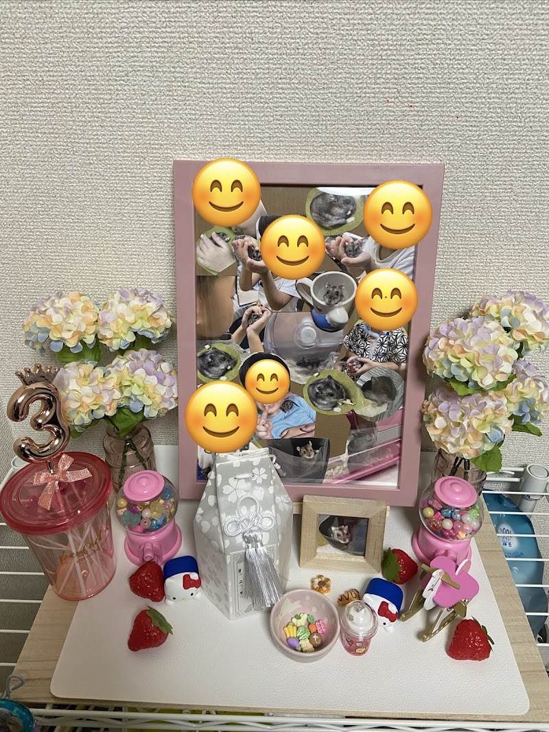 横浜いのりペット葬儀の写真