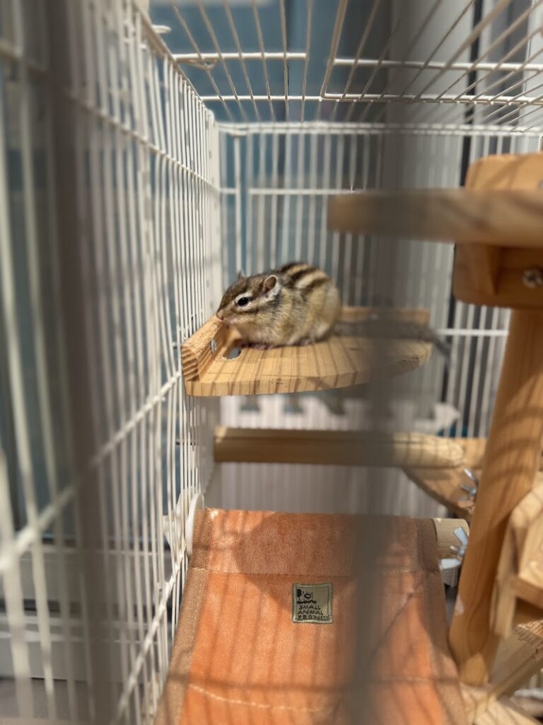 愛ペット動物霊園の写真