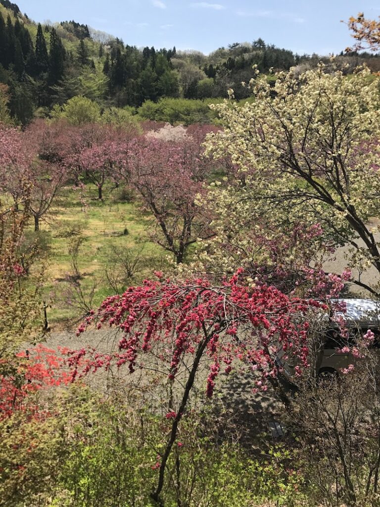 白河の関ペット公園墓地の写真
