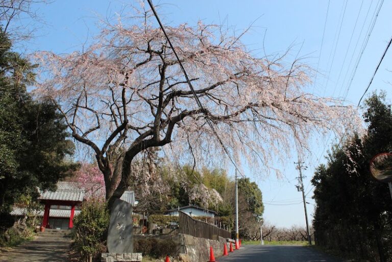 加納寺の写真