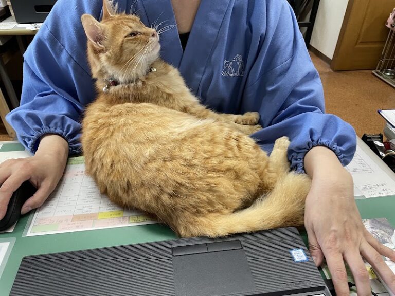 ペット火葬ペット霊園宇都宮の写真