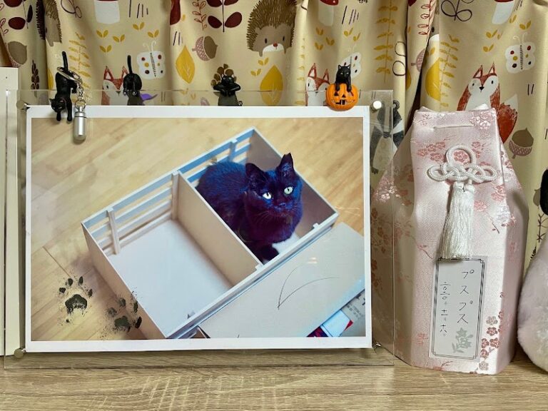 ペットセレモニーシオンの写真