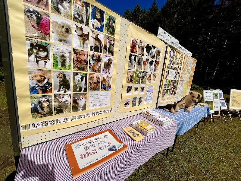 小樽市犬管理所の写真