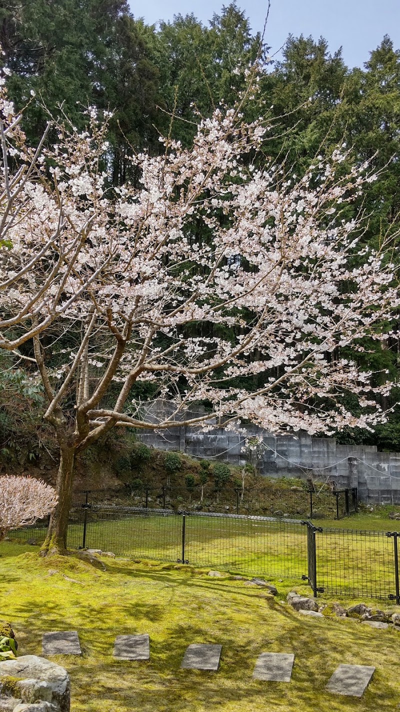 エムシステム（ハートデリバリー慧夢システム）の写真