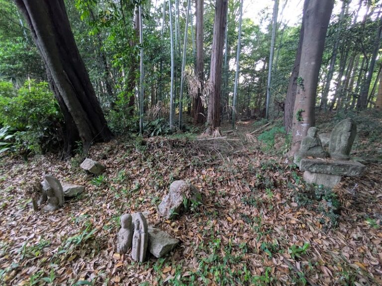 加納寺の写真
