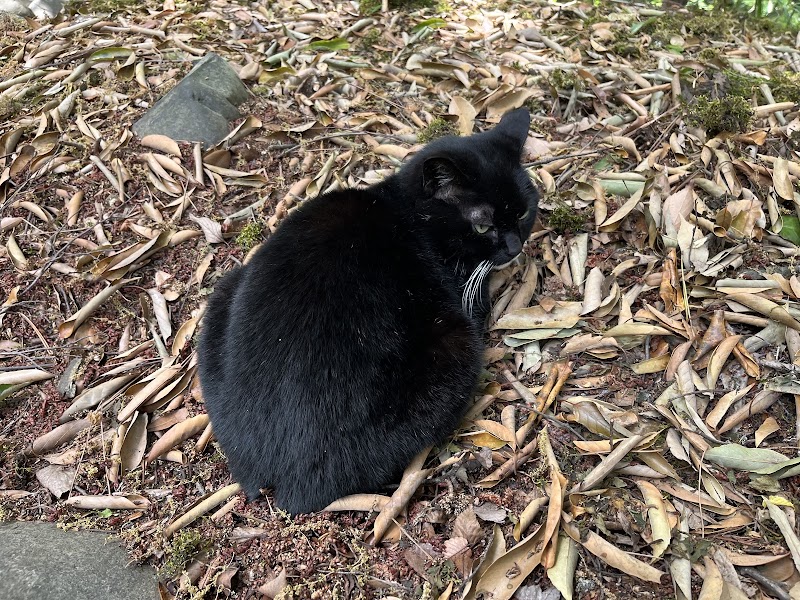深大寺動物霊園の写真
