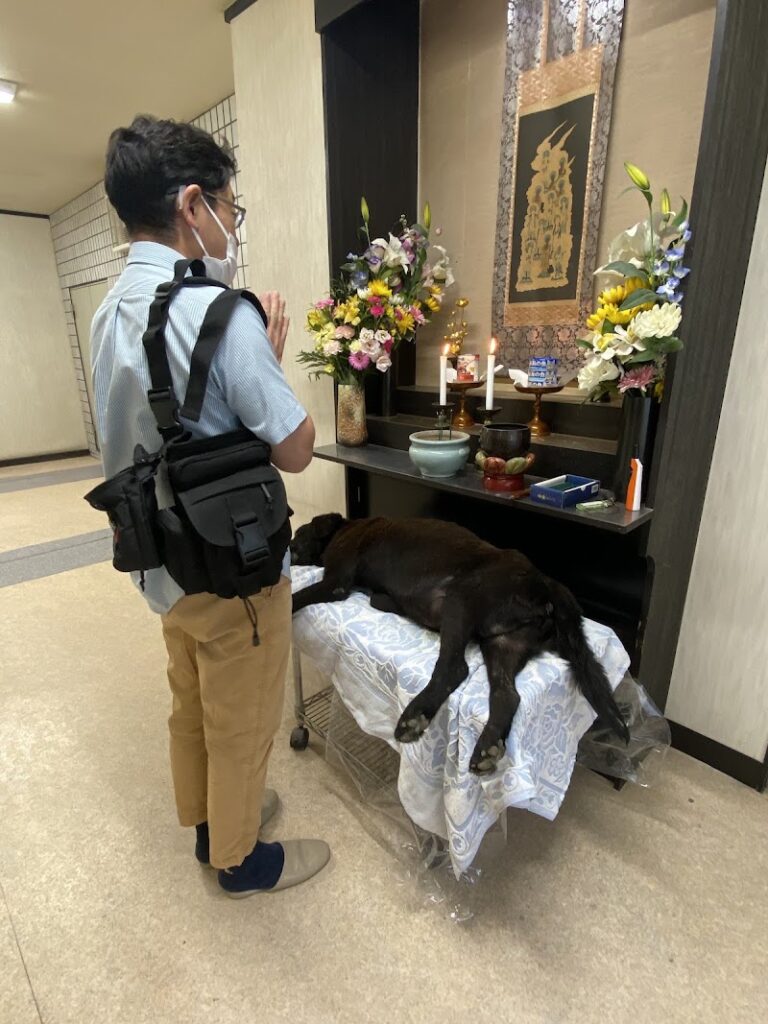 赤城メモリアルパークの写真