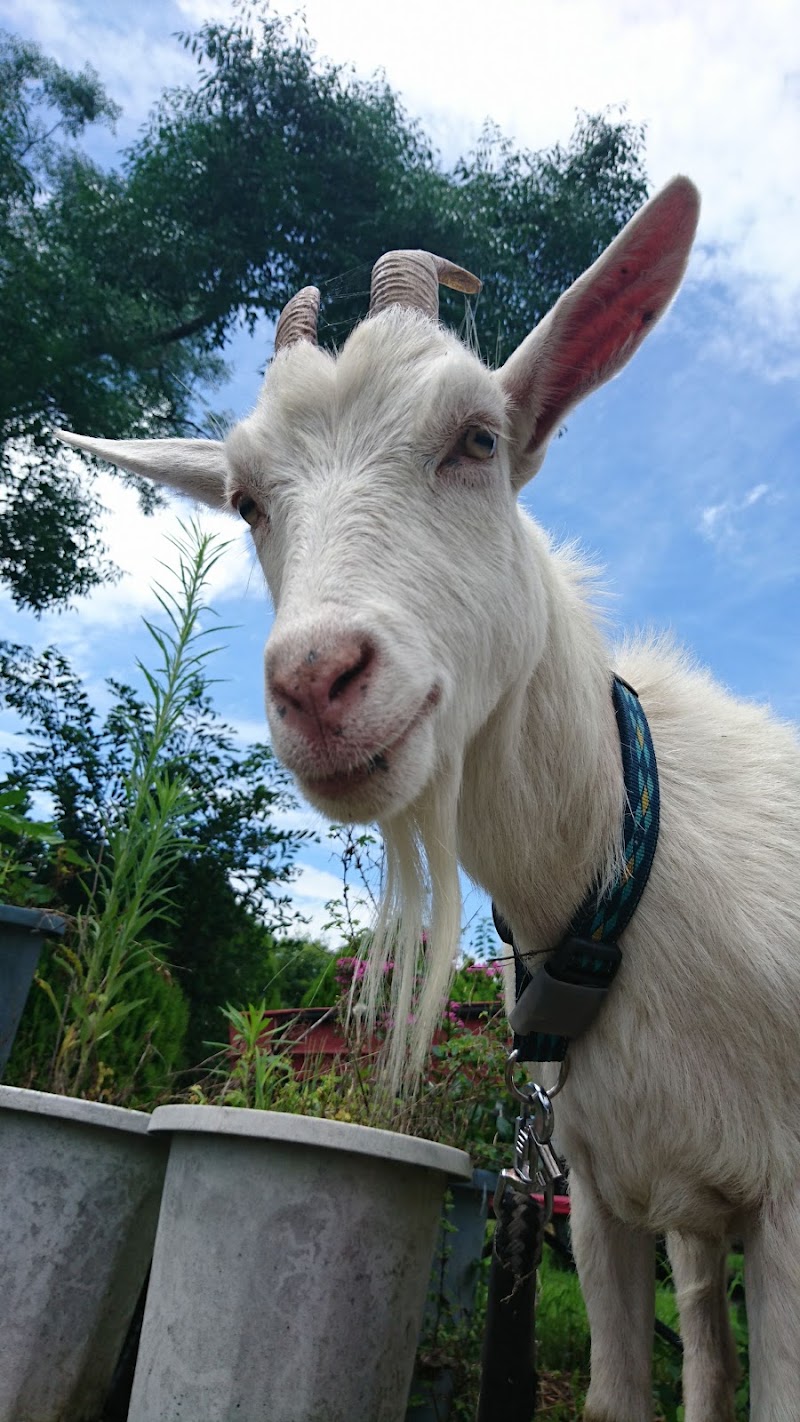 香川県ペットメモリアルパーク御殿動物霊園葬祭場の写真