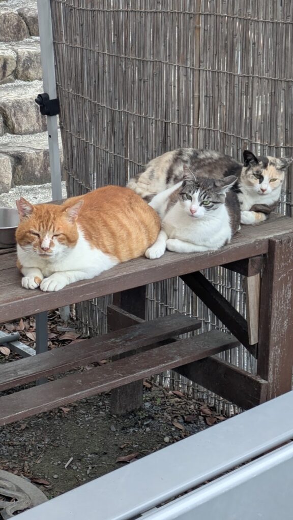 縁の里 動物霊園の写真
