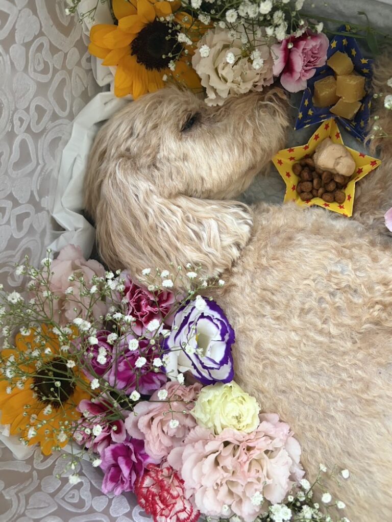 ペット火葬ハピネス埼玉の写真
