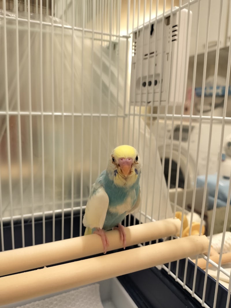 ペットのおみおくり訪問火葬 天寿の写真