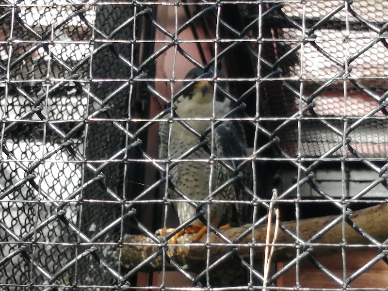 盛岡動物霊園の写真