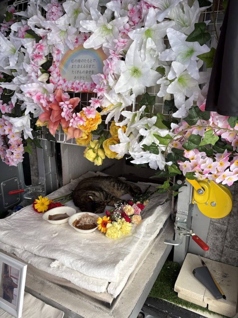新潟県ペット火葬・訪問火葬 【虹への旅立ち】の写真