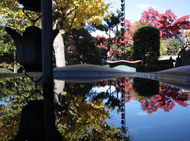 長松寺の写真