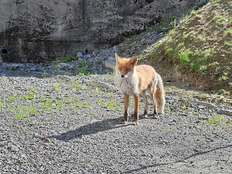 愛＆愛 ペット霊園 古潭の写真