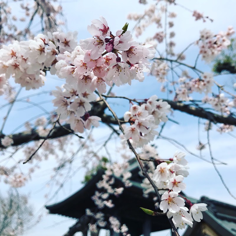 円福寺動物霊園の写真