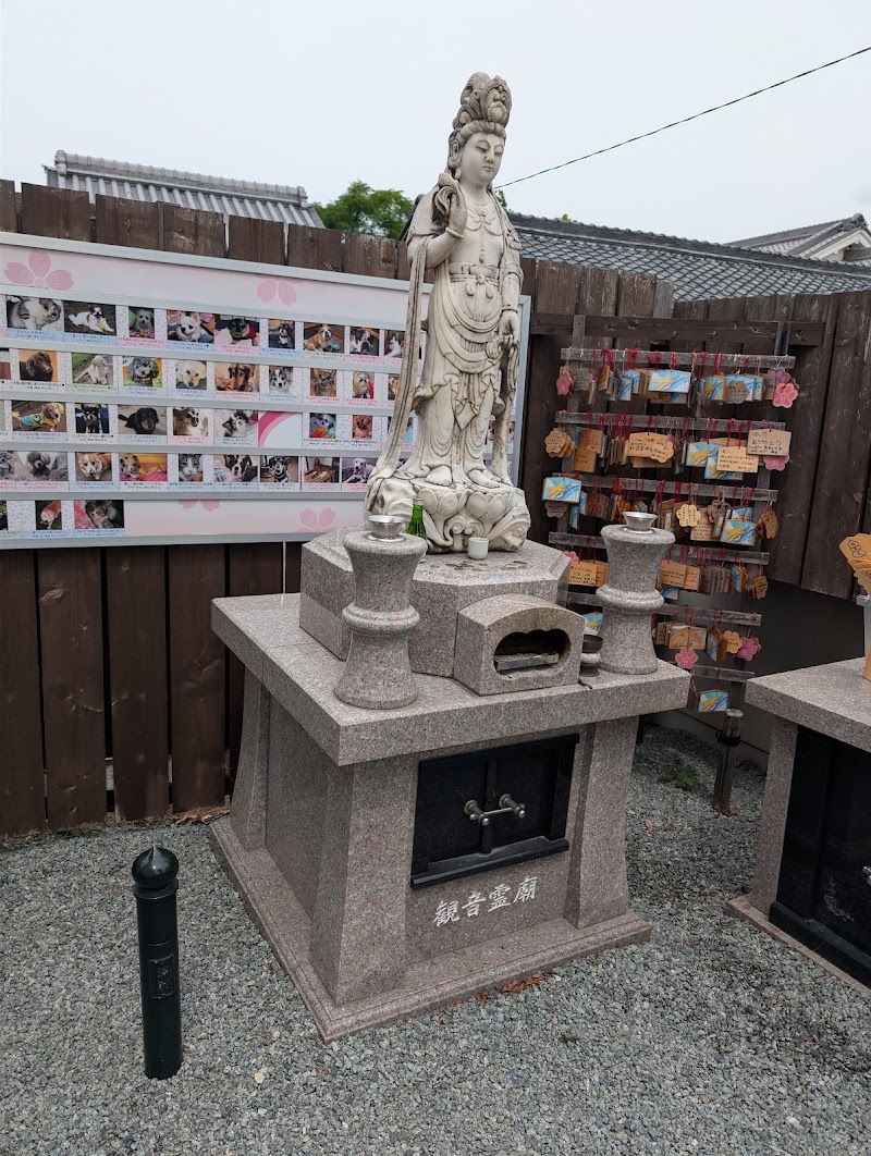 紫雲山 極楽寺の写真