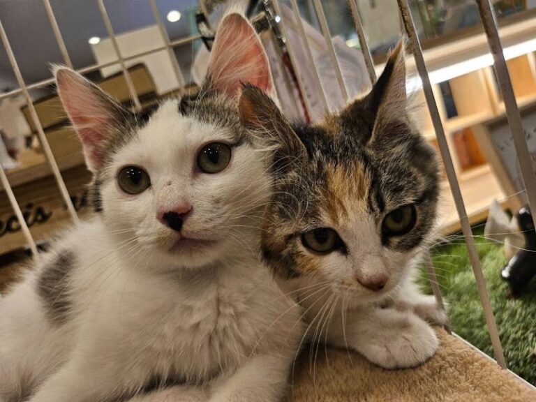 スカイフレンドパーク新館の写真
